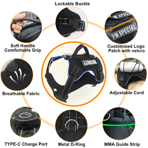 Arnés impermeable recargable para perros OEM, arnés de seguridad nocturna para perros con chaleco LED reflectante luminoso para mascotas - Product Image 2