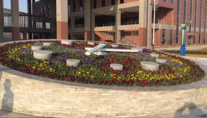 Reloj moderno de cama de flores resistente a la intemperie para paisajismo de jardín trasero - Product Image 3