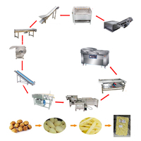 Automatische productielijn voor aardappelchips, industriële aardappelwaslijn