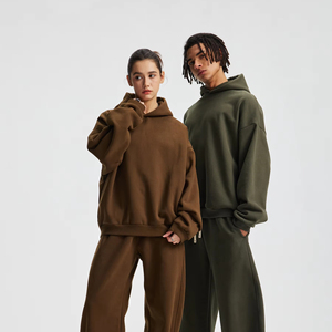 Sudadera con Capucha Térmica Unisex XL 430G 100% Algodón, Otoño Invierno, Nueva Sudadera Básica de Color Sólido, Talla Grande, Cálida, con Bordado 3D - Product Image 3