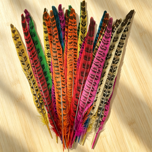 Plumes de faisan Ringnick colorées pour embellissement de coiffure de mariée, plumes de cérémonie à tenir à <span class=keywords><strong>la</strong></span> main, accessoires pour demoiselles d'honneur - Product Image 3