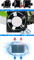 Ventes Flash Usine : Refroidisseur d'Eau 1/10Hp, 1/3Hp, 1/2Hp, 1Hp pour Baignoire de Glace et Thérapie par Plongée Froide