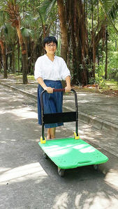 300kgs Fabrik Plattform Trolley Kunststoff Hand Warenkorb für Lager Einfach Moving Professionelle Maschine Werkzeug <span class=keywords><strong>Movers</strong></span> Tragen Fracht Lagerung - Product Image 6