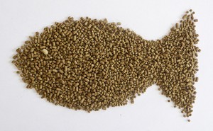 Máquina <span class=keywords><strong>de</strong></span> alimentos <span class=keywords><strong>para</strong></span> peces Línea <span class=keywords><strong>de</strong></span> producción <span class=keywords><strong>de</strong></span> alta precisión <span class=keywords><strong>de</strong></span> acero inoxidable 304 completamente automática - Product Image 2