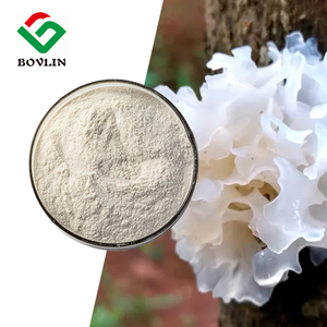 영지버섯 추출물 분말 공장 도매 영지버섯(Trametes versicolor) 추출물 30% 다당류 분말 - Product Image 2