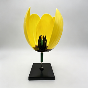 Modelo Educativo de Flor de Tulipán 50127.04 - Product Image 1