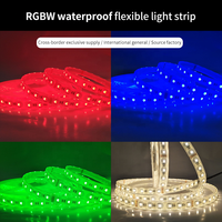 Offre Spéciale étanche 24 clés 12V Rgb Smd 5050 application de contrôle intelligent LED bande lumineuse