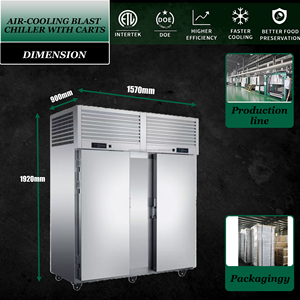 Congelador rápido de 30 bandejas con enfriamiento por aire para hoteles, almacenamiento en frío eficiente para pescado, camarones, carne y alimentos. - Product Image 2
