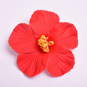 10cm Simulation Frangipanier Fleur pour Hawaïen De Mariage Corsage Coiffe Accessoire Séché Diadèmes Couronnes <span class=keywords><strong>Pince</strong></span> À <span class=keywords><strong>Cheveux</strong></span> - Product Image 5