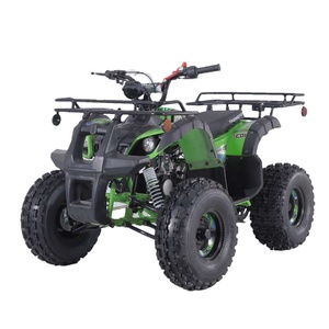 Xe địa hình trẻ em Tao Motor 110cc ATV tự động, xe địa hình 125cc khởi động điện, xe <span class=keywords><strong>4</strong></span> bánh 125cc dẫn động xích 2WD - Product Image 2