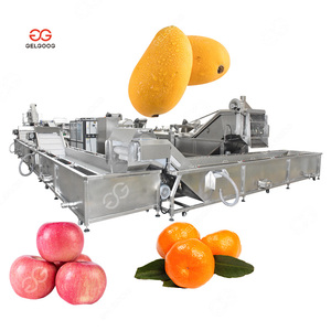 Gelgoog citrus phân loại làm sạch chế biến phân loại rau và trái cây rửa và tẩy lông dòng - Product Image 6