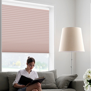 Rideaux aveugles électriques intelligents en nid d'abeille Conception de tissu à rouleaux intégrés pour tissu uni à <span class=keywords><strong>motif</strong></span> de fenêtre française - Product Image 1