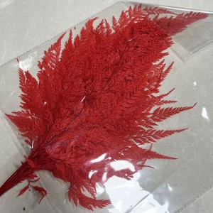Foglie di Felce Fiocco di Neve Essiccate Eterne, Foglie di Felce Artificiali Lunghe 55cm, Decorazione Duratura per San Valentino - Product Image 4