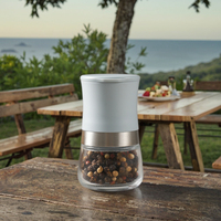 Nouveau design Gadgets de cuisine Moulin à sel et à poivre en plastique RPET Moulin à épices portable Mini moulin à sel et à poivre manuel réglable
