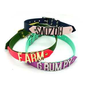 Collar de moda para mascotas en oferta con hebilla de metal con letras, collar de perro personalizado recubierto de PVC, impermeable, para razas pequeñas, medianas y grandes. - Product Image 5