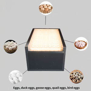 <span class=keywords><strong>Machine</strong></span> de test portable pour œufs 88 œufs, testeur d'œufs, candélabre, grande capacité, incubateur d'œufs pour le test - Product Image 6