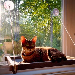 Gato Ventana Percha Gato Ventana Repisa Gato Ventana Hamaca - Product Image 6