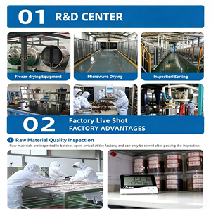 ขนมสุนัขและแมวจากอกไก่อบแห้งแบบออร์แกนิคขายส่ง - ขนมสัตว์เลี้ยงโปรตีนสูง - Product Image 4