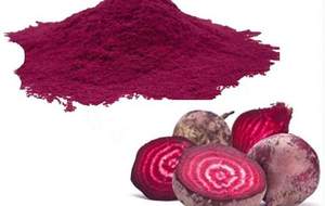 Hoang Dã phát triển Màu Đỏ củ cải đường bột cao tập trung betanin khô gốc trong loạt các gói-chai trống thủy tinh container chân không đóng gói - Product Image 2