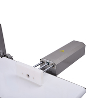 Báscula de Control de Peso YWANTEST YW-XP400 para Bolsas y Cajas, Acero Inoxidable SUS 304, Alta Precisión 1g-5g, 1 Año de Garantía, Uso en la Industria Alimentaria
