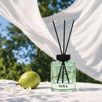 Diffuseur de parfum d'ambiance NOVA, luxe, sans alcool, écologique, artisanal, avec huile essentielle longue durée, 150 ml