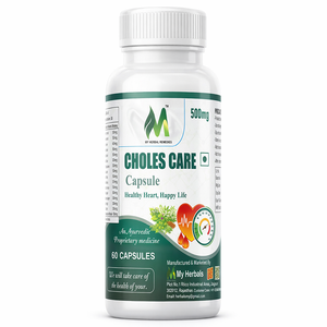 Cápsulas de Extracto Herbal Choles Care, Polvo Botánico Poliherbáleo a Base de Plantas, 500 mg, 60 Unidades, Venta al por Mayor, Suministro de Marca Privada OEM - Product Image 6