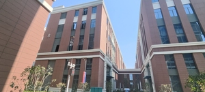 36V 48V 60V 1000W 전기 변환 키트 전자 자전거 허브 모터 및 자전거 용 리튬 배터리 - Product Image 6