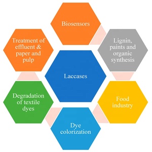 Bột Enzyme Sunson Laccase, một chất oxy hóa oxy hóa rộng phổ quát, oxy hóa phenol, oxy hóa lignin, v.v. - Product Image 4