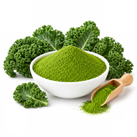 Poudre de Kale Superalimentaire Qualité Alimentaire Poudre de Légumes Verts Marque Privée OEM ODM Vente en Gros