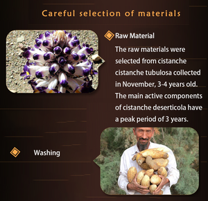 Bubuk ekstrak <span class=keywords><strong>Cistanche</strong></span> produk HONGDA ekstrak <span class=keywords><strong>Cistanche</strong></span> Deserticola - Product Image 2