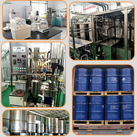 Huile de tung pure de qualité industrielle, anti-corrosion, imperméable, finition bois bouilli, 8001-20-5, pureté 99%, en vrac, 5 kg