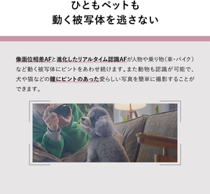 Appareil photo hybride plein format Panasonic LUMIX S9 avec objectif S 18-40 mm F4.5-6.3, (argent) DC-S9NS (modèle international) - Product Image 4