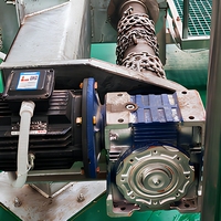 Ligne de production d'abattage de bovins automatique à haute efficacité, ensemble complet de machines de transformation de la viande bovine