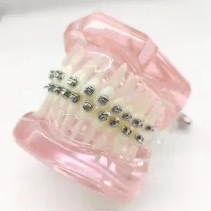 Yamei ortodontik profesyonel tıbbi cihazlar diş hekimi kendini bağlama braketi artı 8 standart tork kanca ile