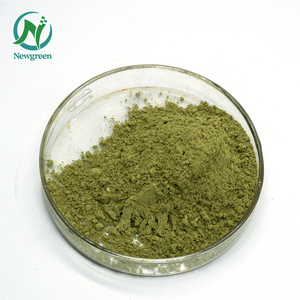 New green Supply Natürliches Spray/gefrier getrocknetes <span class=keywords><strong>Okra</strong></span>-Gemüse pulver von höchster Qualität - Product Image 2