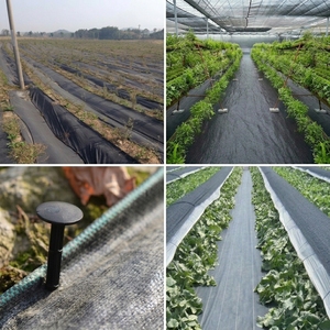 Malla Antihierbas de Polipropileno Tejido de 90 g/m², Revestimiento para Suelos de Jardín, Resistente a los Rayos UV, 1 m 2 m de Ancho - Product Image 6