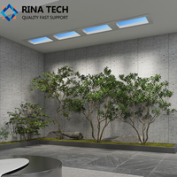 Lampe à lumière artificielle intérieure Rina-Tech à intensité variable, encastrée dans la fenêtre, ciel bleu, puits de lumière, panneau de plafond LED en PMMA/PC, puits de lumière virtuel