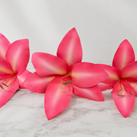 Roze lotusbloemblaadjes, gigantische kunstbloemen van papier, decoratie voor bruiloften en evenementen, commerciële bloemendisplay, fabriekslevering
