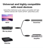 Xput Répartiteur Audio Optique Numérique Plaqué Or 1 en 2 Câble Optique Audio Connecteurs Toslink Câble Amplificateur de Puissance