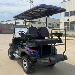 Golf Cart di Lusso Fuoristrada di Alta Qualità a 4 Posti, Nuovo Design Motorizzato, Buggy Elettrico da Golf - Product Image 2