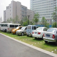 Pavés de grille d'herbe HDPE robustes pour parkings Système de renforcement de pelouse écologique Pavés d'herbe