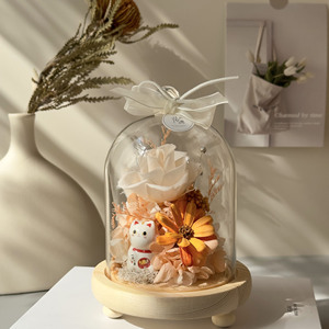 Caja de Regalo para San Valentín, Navidad, Graduación, Rosas Eternas Preservadas en Cúpula de Cristal con Luz LED - Product Image 1