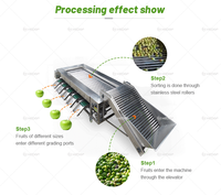 Automatische fruit- en groentesorteermachine voor kersen, olijven, appels, sinaasappels, uien, aardappelen - 304 roestvrij staal, hoge capaciteit