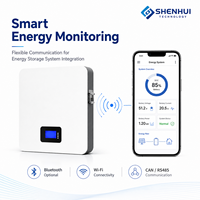 Batterie domestique 5,12 kWh 51,2 V 100 Ah LiFePO4, batterie de stockage d'énergie au lithium pour système de stockage d'énergie solaire hybride à micro-onduleur