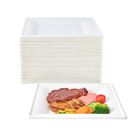 Assiettes carrées classiques en bagasse compostables ECO Pack 6'' 8'' 10'' – 6 pouces, robustes, biodégradables, jetables pour fêtes, dîners, anniversaires