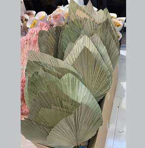 Vente en gros de feuilles de <span class=keywords><strong>palmier</strong></span> séchées tropicales naturelles fleurs éternelles <span class=keywords><strong>éventail</strong></span> de feuilles de <span class=keywords><strong>palmier</strong></span> séchées pour la décoration de la maison de mariage - Product Image 4