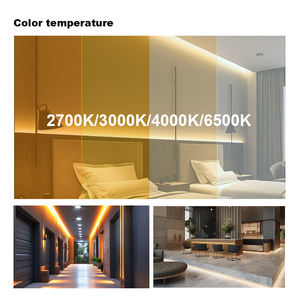 Luz de Neón de Silicona 3D Personalizable de Alta Calidad, DC24V, Impermeable IP68, Flexible, para Exteriores - Product Image 4