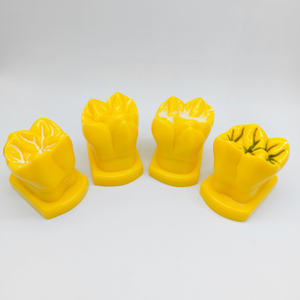 의사-환자 커뮤니케이션 및 병원 클리닉 교육을 위한 4 개의 구덩이 균열 폐쇄 프로세스 디스플레이 모델 세트 - Product Image 1