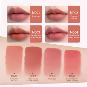 Brillo Labial LANA CANE Cosmetics al por Mayor, Marca Privada YNCOS, Encantador, Difuminado, Impermeable, Suave, No Pegajoso - Product Image 5