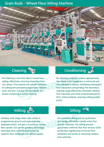 Prix d'usine 20 tonnes 30 tonnes Chakki Atta/<span class=keywords><strong>Semoule</strong></span>/Moulin à farine <span class=keywords><strong>de</strong></span> blé Machine à moudre la farine <span class=keywords><strong>de</strong></span> blé - Product Image 5